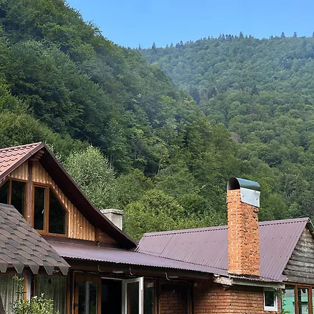будинок у карпатах, буковель, сауна, чан