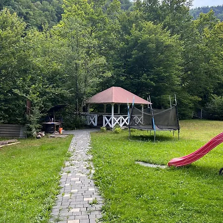 будинок у карпатах, буковель, сауна, чан *