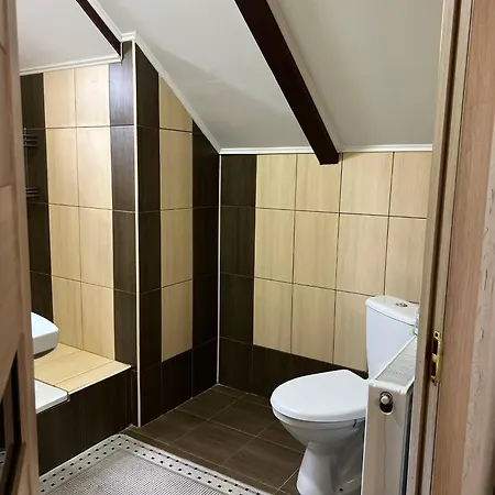 будинок у карпатах, буковель, сауна, чан